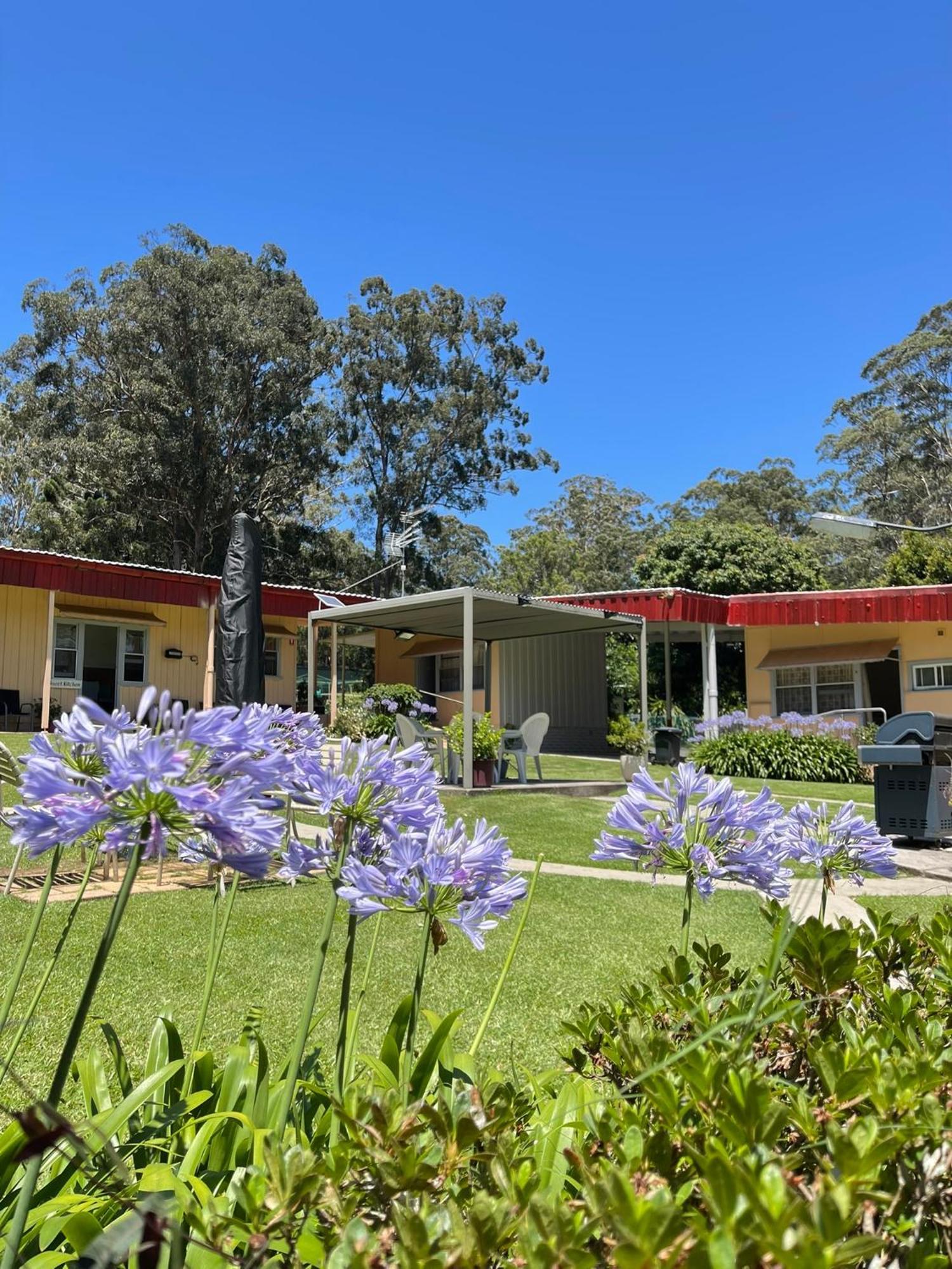 Major Innes Motel Port Macquarie Exteriér fotografie