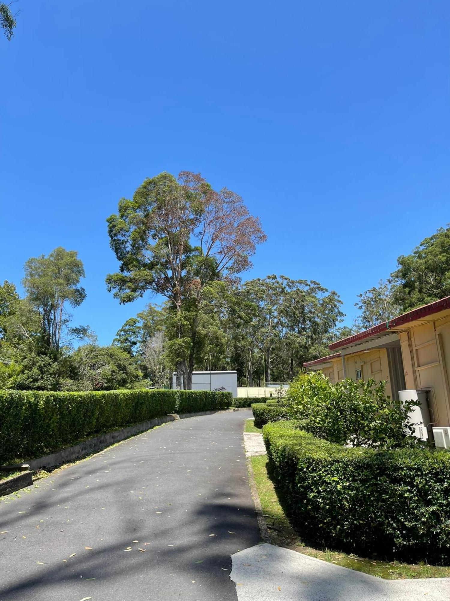 Major Innes Motel Port Macquarie Exteriér fotografie