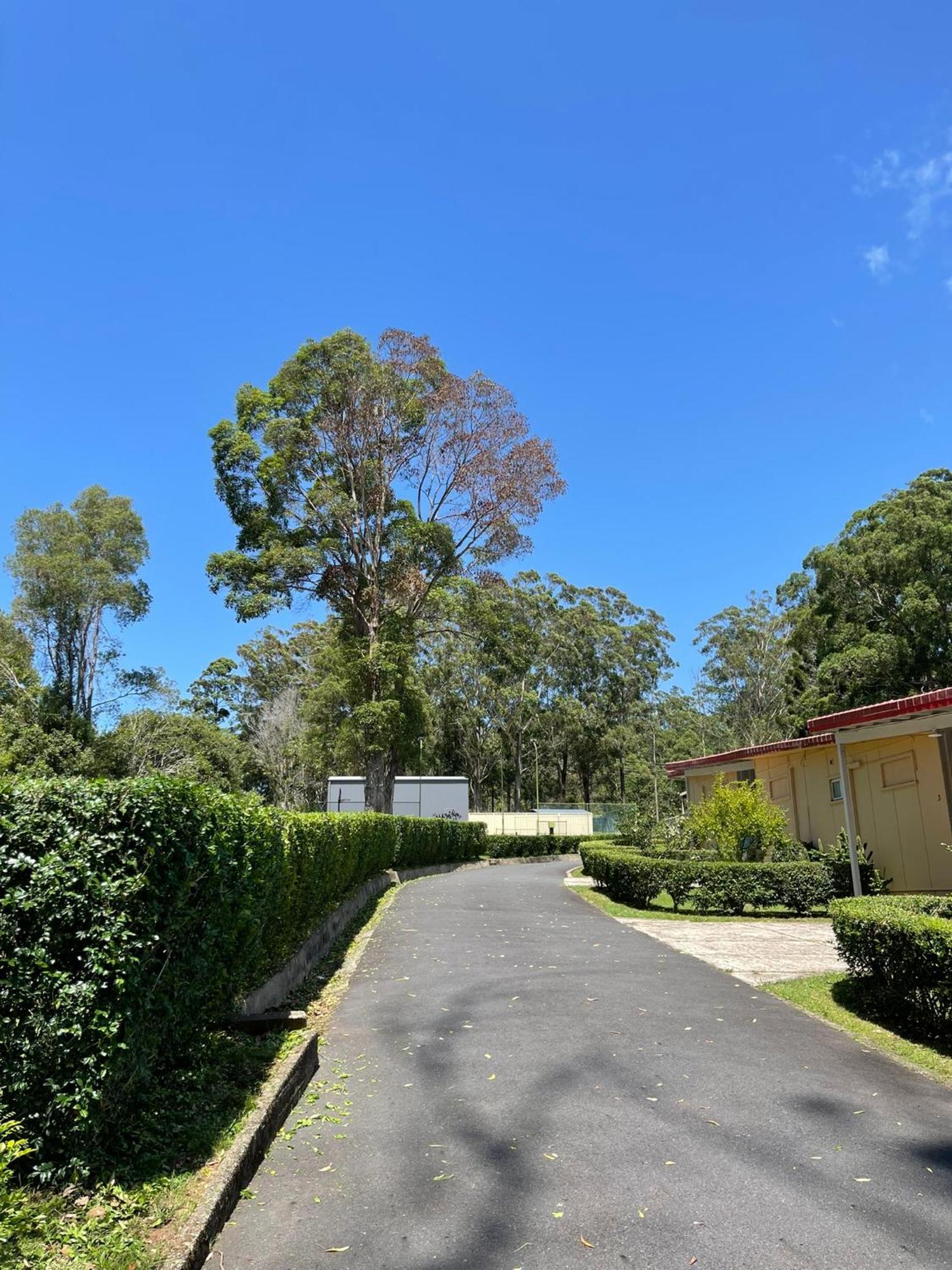 Major Innes Motel Port Macquarie Exteriér fotografie